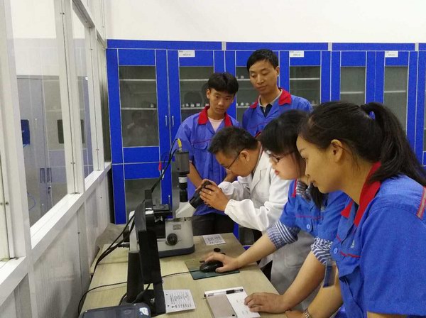 亚美国际·(中国区)有限公司官网