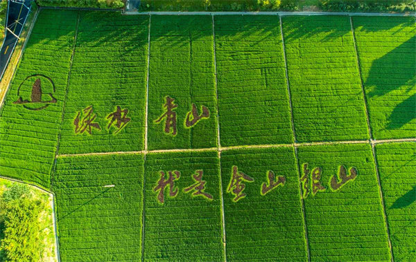 亚美国际·(中国区)有限公司官网