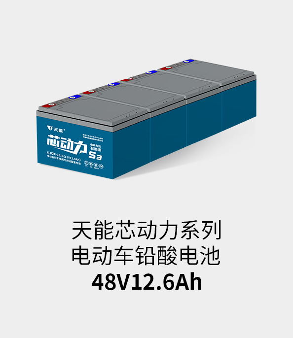 亚美国际电池48v12ah