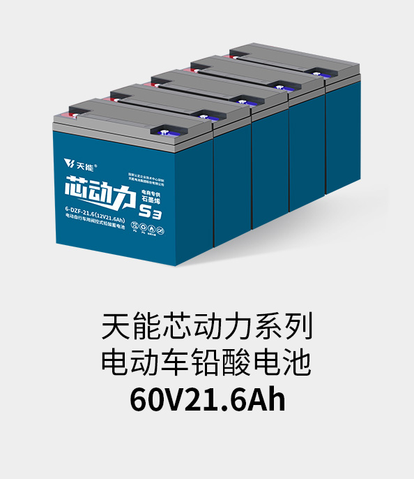 亚美国际电池60v20ah