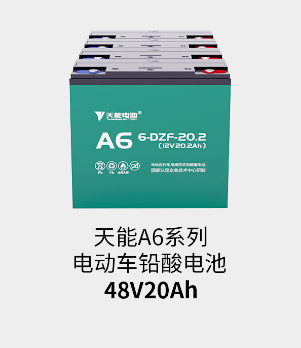 亚美国际电池48v20ah