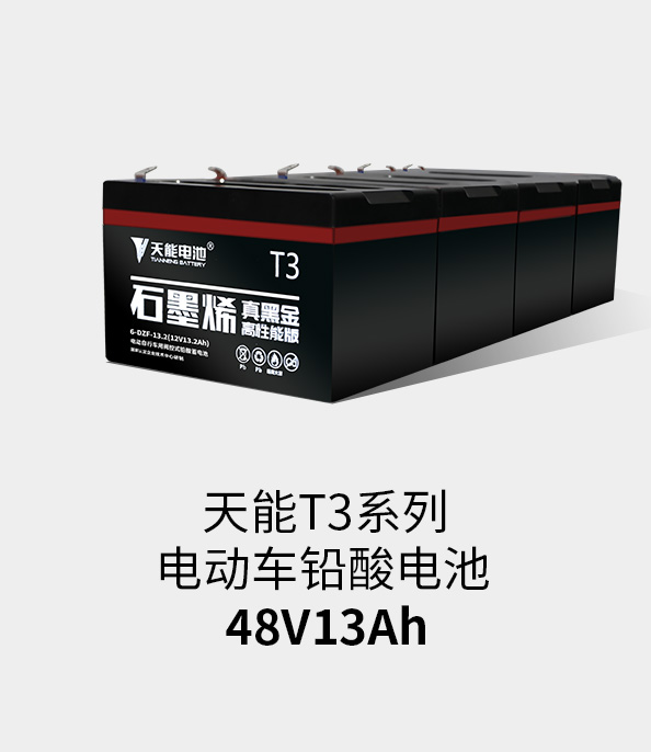 亚美国际T3系列48v13ah